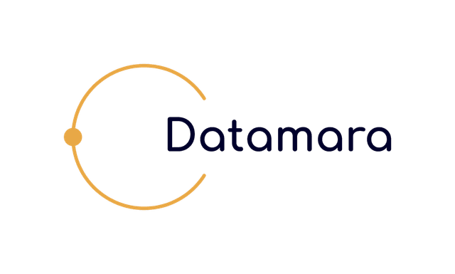 Datamara Logo